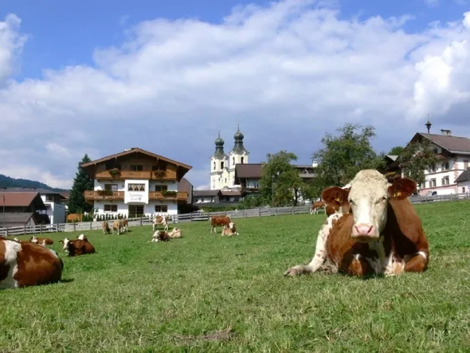 Voyage · TRANSHUMANCE ET FÊTE PAROISSIALE A KRAMSACH AU TYROL