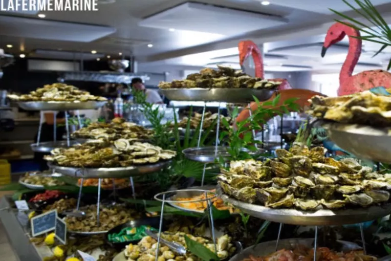 Buffet huitres ferme marine — Voyage · SORTIE A L’ÉTANG DE THAU AVEC DÉJEUNER BUFFET COQUILLAGES