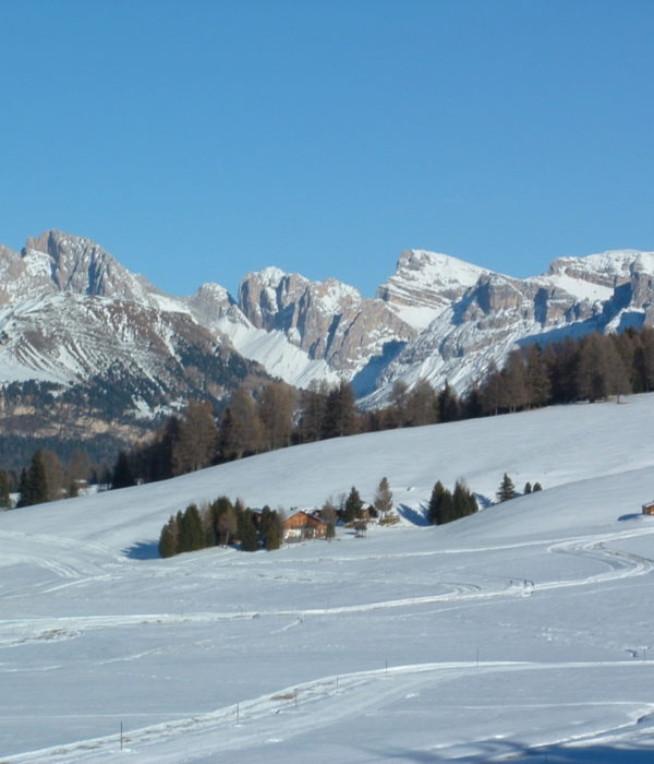 Alpage de Siusi