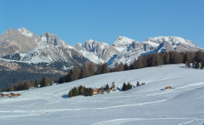 Alpage de Siusi