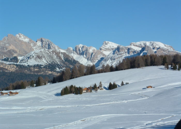 Alpage de Siusi