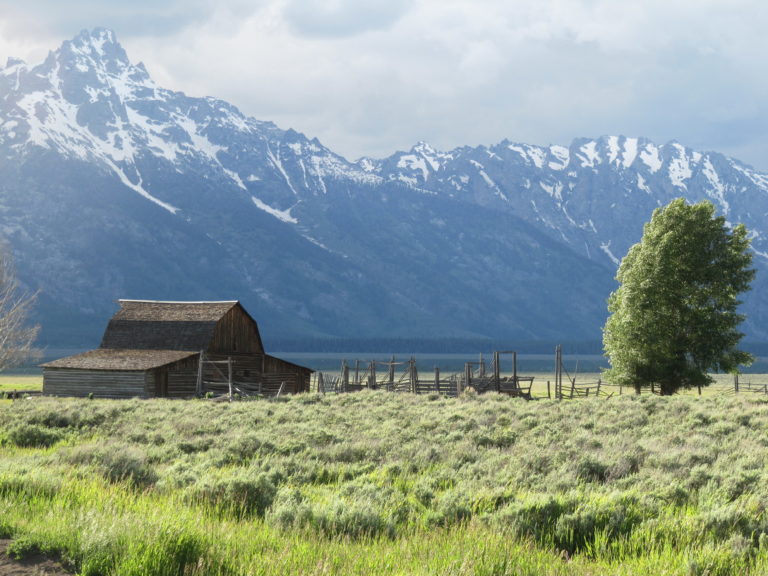 LES ROCHEUSES, PARC YELLOWSTONE ET CÔTE PACIFIQUE DE LOS ANGELES A SAN FRANCISCO